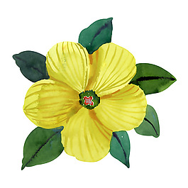 位圖 植物 寫意花卉 花朵 牡丹 免費(fèi)素材
