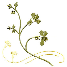 繡花 植物 葉子 免費(fèi)素材