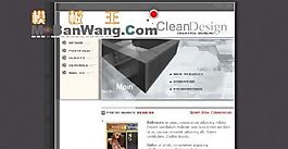 歐美設(shè)計公司FLASH網(wǎng)站模板