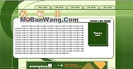 企业网络名片模板