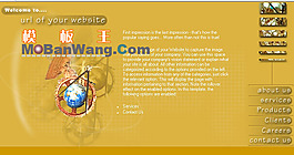 歐美風(fēng)格企業(yè)網(wǎng)站模板