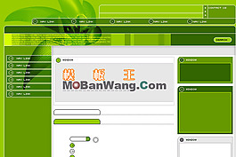 歐美風(fēng)格公司網(wǎng)站模板