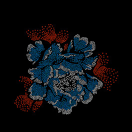燙鉆 花朵 免費(fèi)素材