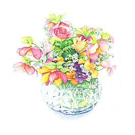 位圖 植物 寫意花卉 花朵 野花 免費素材