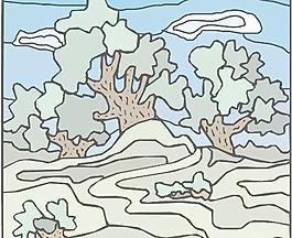 自然风光