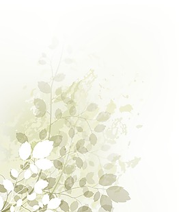 畫(huà)花卉背景矢量插畫(huà)