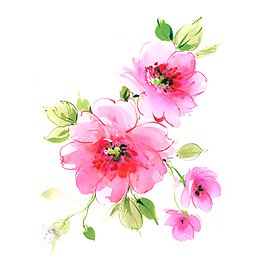 位圖 植物 寫意花卉 花朵 牡丹 免費素材