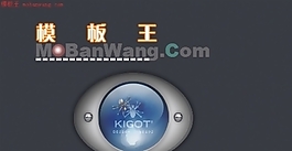 設(shè)計(jì)網(wǎng)站_FLASH模板