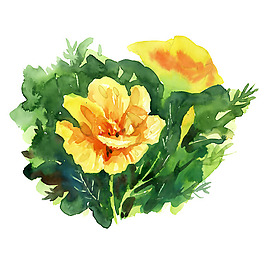 位圖 植物 寫意花卉 花朵 牡丹 免費(fèi)素材