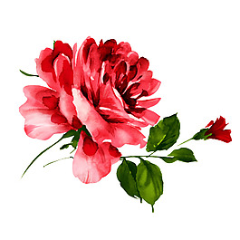 位圖 植物 寫意花卉 花朵 玫瑰 免費素材