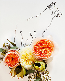 位圖 植物插畫 植物 花卉 花朵 免費素材