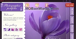 紫蘭花主題_FLASH個人模板
