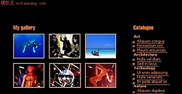 個(gè)人網(wǎng)站_FLASH模板