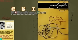 個(gè)人FLASH模板