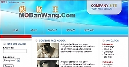歐美IT公司介紹網(wǎng)站模板