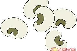 蔬菜矢量圖