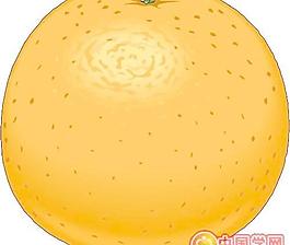 橙子漫畫矢量圖