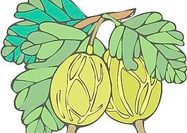 牡丹玫瑰菊花