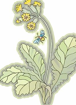 矢量鮮花