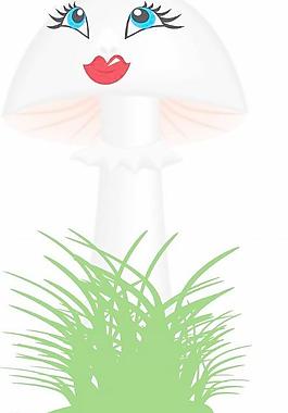 牡丹玫瑰菊花