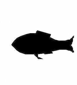 海洋生物