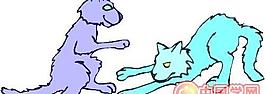 野生動物