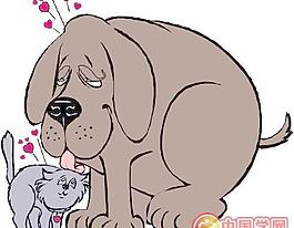 野生動物