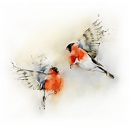 位圖 插畫 時尚插畫 插畫師 Dmitriy 免費素材
