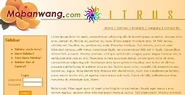 柑橘生產(chǎn)企業(yè)介紹網(wǎng)頁模板