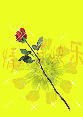 變化的玫瑰圖片