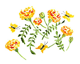 位圖 植物 寫意花卉 花朵 野花 免費(fèi)素材