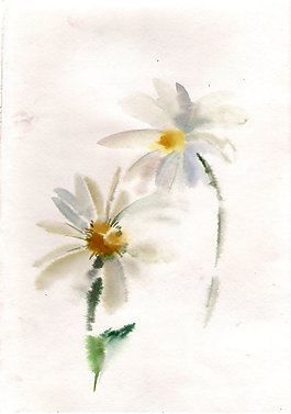 位圖 植物 寫意花卉 花朵 菊花 免費素材