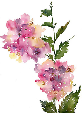 位圖 植物 寫意花卉 花朵 野花 免費素材