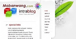 歐美綠葉BLOG網(wǎng)頁模板