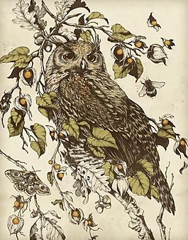 位圖 插畫 植物插畫 插畫師 Teagan 免費(fèi)素材