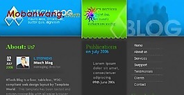 个人商务BLOG网页模板