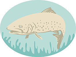 斑點或斑點鱒魚游泳