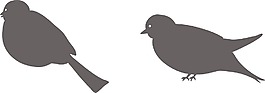 鳥類矢量