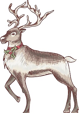 矢量raindeer