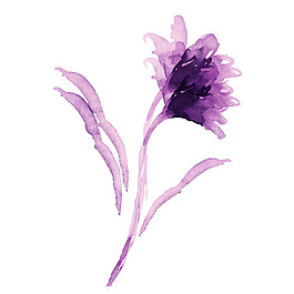位圖 寫意花卉 藝術效果 水彩 花卉 免費素材