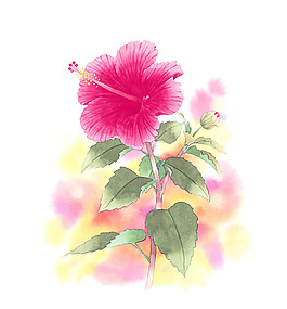 位圖 寫意花卉 藝術效果 水彩 花卉 免費素材