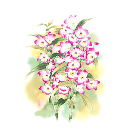 位圖 寫意花卉 藝術效果 水彩 花卉 免費素材