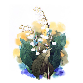 位圖 寫意花卉 藝術效果 水彩 花卉 免費素材