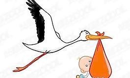 叼著嬰兒的鳥(niǎo)