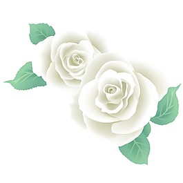 印花矢量圖 寫實(shí)花卉 花朵 玫瑰 樹葉 免費(fèi)素材