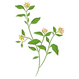 印花矢量圖 寫實(shí)花卉 花朵 野花 免費(fèi)素材