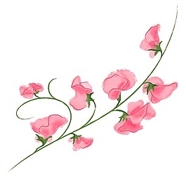 印花矢量圖 寫實(shí)花卉 花朵 野花 免費(fèi)素材