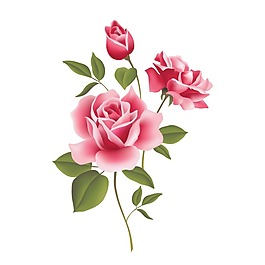 印花矢量圖 寫實(shí)花卉 花朵 月季 免費(fèi)素材