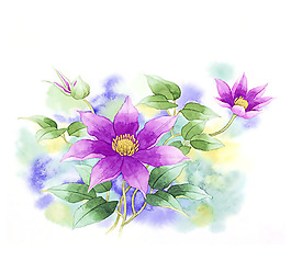 位图 插画 插画师 茨木祥之 日本 免费素材