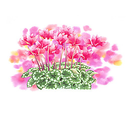 位图 插画 插画师 茨木祥之 日本 免费素材
